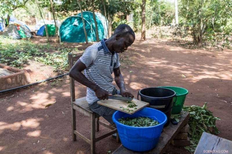 West African Farm Bootcamp Shapes Future Green Entrepreneurs
