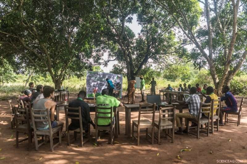 West African Farm Bootcamp Shapes Future Green Entrepreneurs