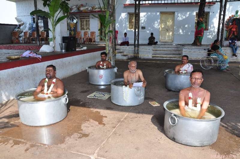 Heatstroke Claims Monkey Lives Amid India s Record-High Temperatures