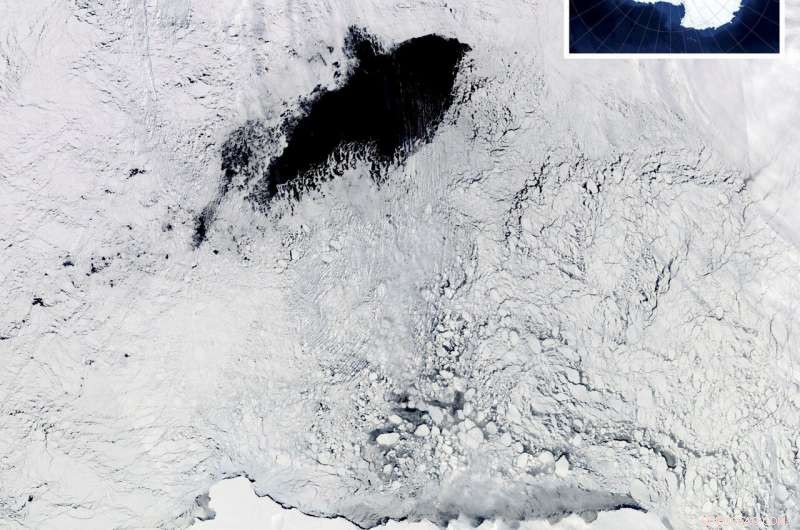 Robotic Data Unveils Secrets Behind Massive Antarctic Sea Ice Holes