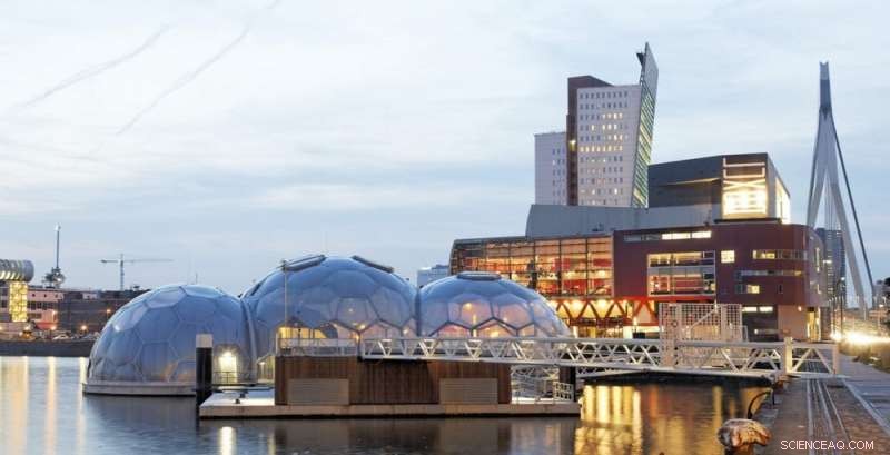 Can Floating Cities Offer a Lifeline Against Rising Sea Levels?