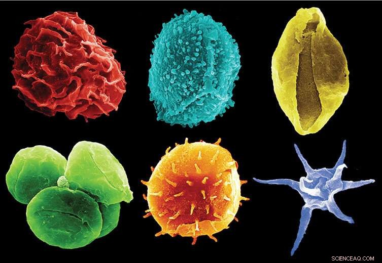 Historical Climate Catastrophes Reveal Lessons for Our Future