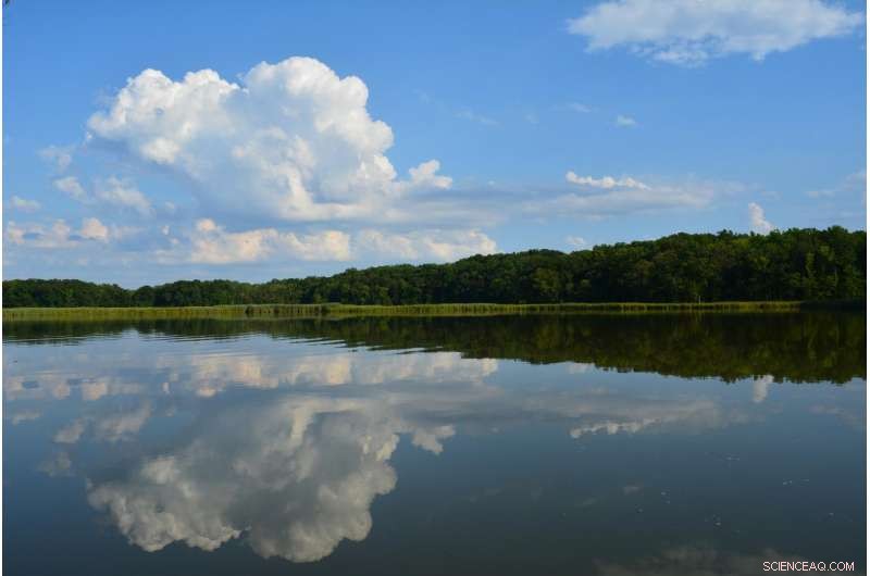 Experts Warn of a Massive Chesapeake Bay Dead Zone in 2019 After Wet Winter and Spring