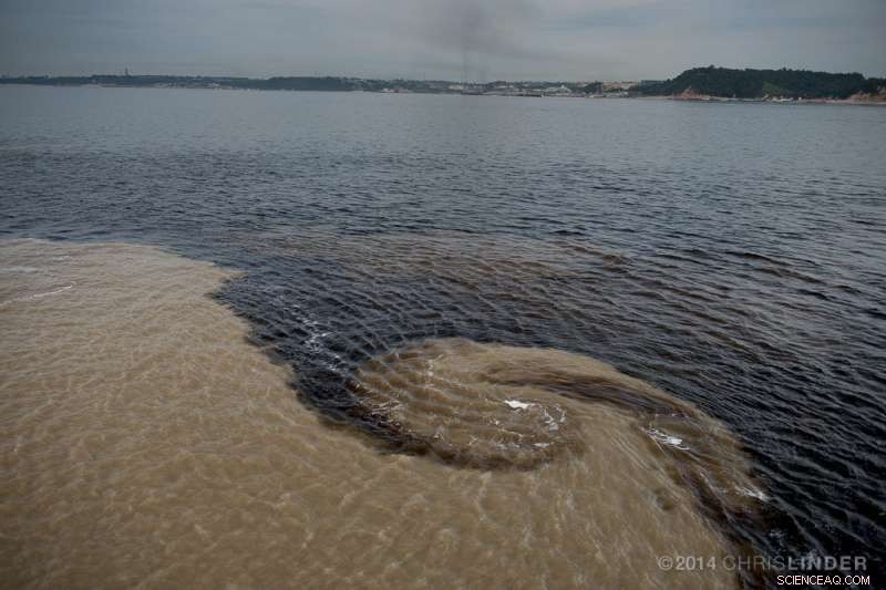 Organic Carbon Sequestered in Sediments Keeps Earth’s Atmosphere Oxygen‑Rich