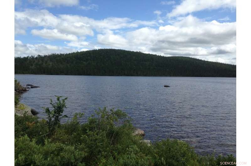 Legacy of DDT Persists in Remote Lakes: New Multi-University Study Reveals Ongoing Ecological Impact