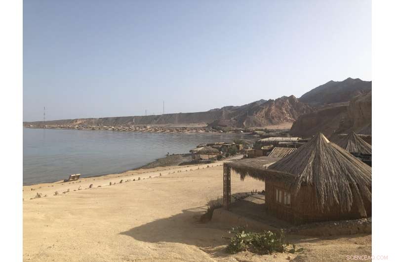 Researchers Warn of Potential Future Tsunamis in Gulf of Elat-Aqaba, Red Sea