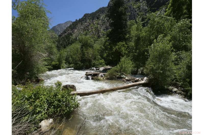 Snowmelt Brings Relief to Parched US Southwest Rivers