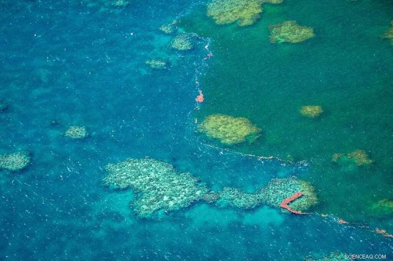 Australia Grants Approval for Large Coal Mine Project Near the Great Barrier Reef