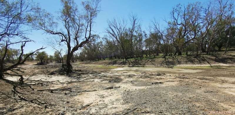 Old-School Climate Denial Loses Ground: Why Evidence-Based Policy Wins