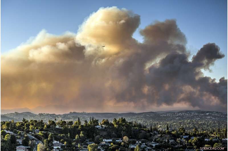 Preparing for Wildfire Season: A Practical Guide to Safety and Resilience
