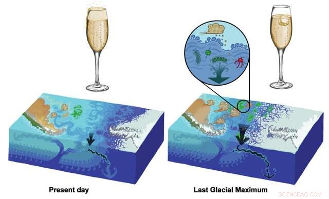 Unveiling the Causes of Lower Atmospheric CO₂ During Ice Ages