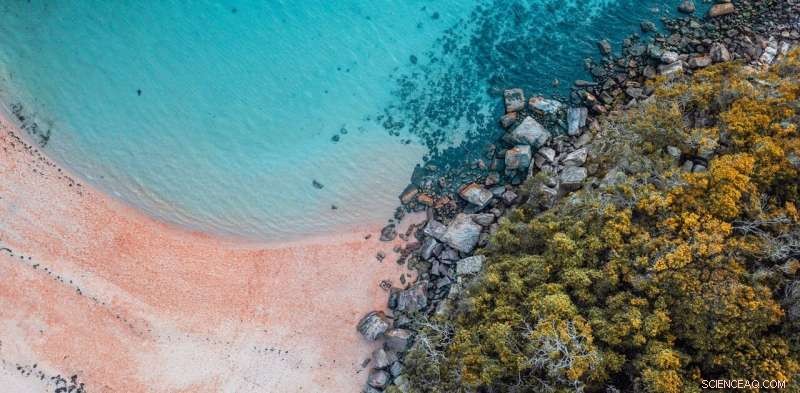 Australia s Pristine Beaches Threatened by Sewage Pollution