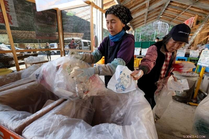 Kamikatsu: Japan’s Town Leading the Charge Toward Zero Waste