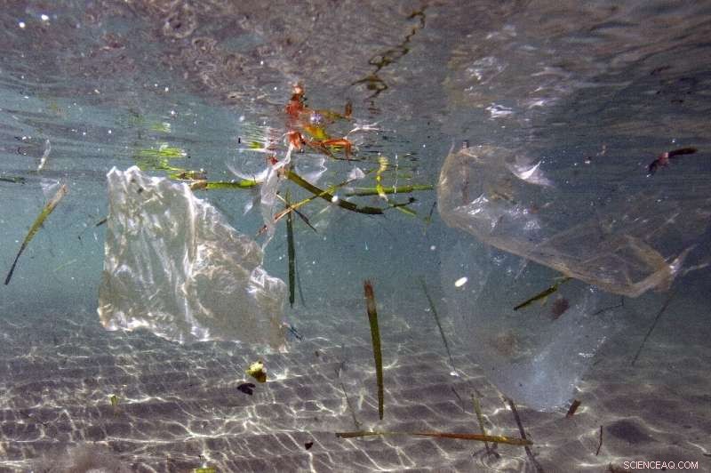 G20 Reaches Historic Agreement to Tackle Marine Plastic Pollution