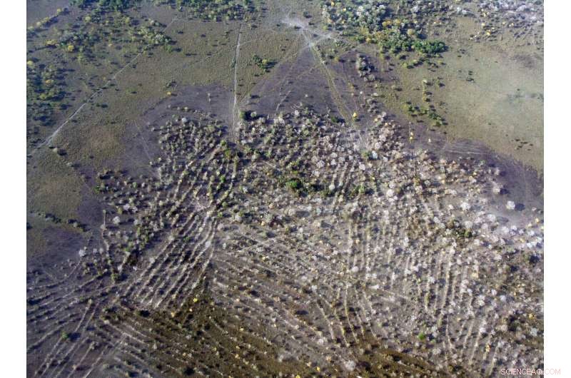 Climate Change Shaped Amazonian Societies Long Before European Contact