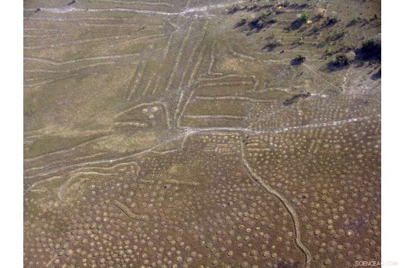 Climate Change Shaped Amazonian Societies Long Before European Contact