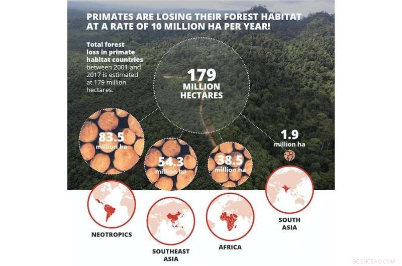 Global Commodities Trade Threatens Primates: A Call to Protect Endangered Species