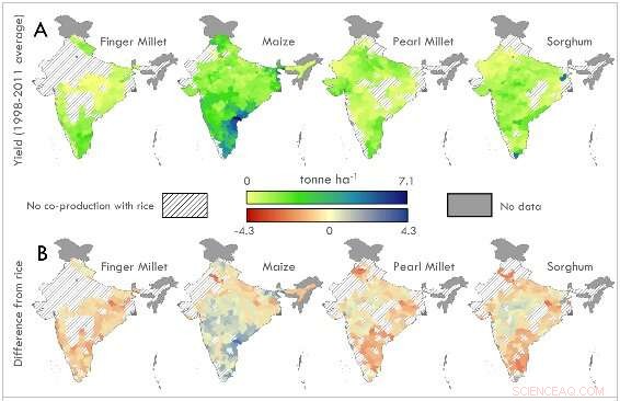 Scientists Examine Climate Change s Impact on India s Crops