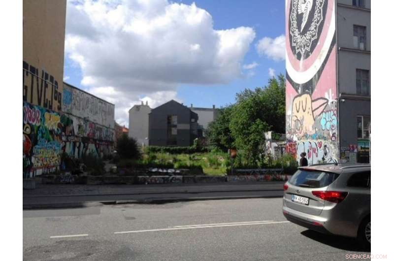 Urban Gardens: A Reliable Bio-Indicator for Monitoring Air Quality