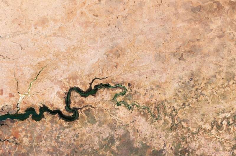 Desert Greenery: 25th Anniversary of World Day to Combat Desertification