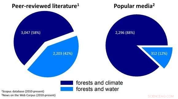 How Forest Management Influences Global Streamflow: A Comprehensive Analysis