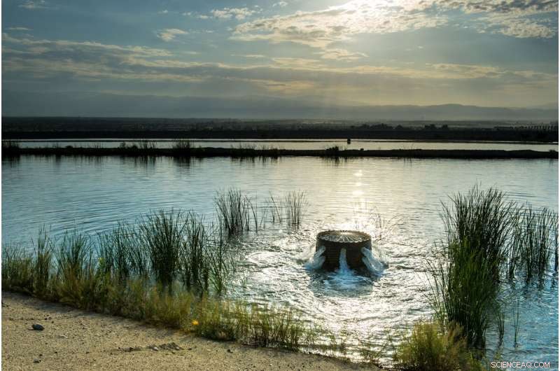 Maximizing Winter Storms: How California Can Refill Aquifers Efficiently