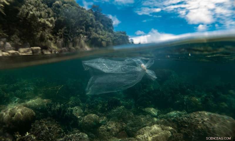 Combating Plastic Pollution: Protecting Coastal Communities and Coral Reefs in Cambodia