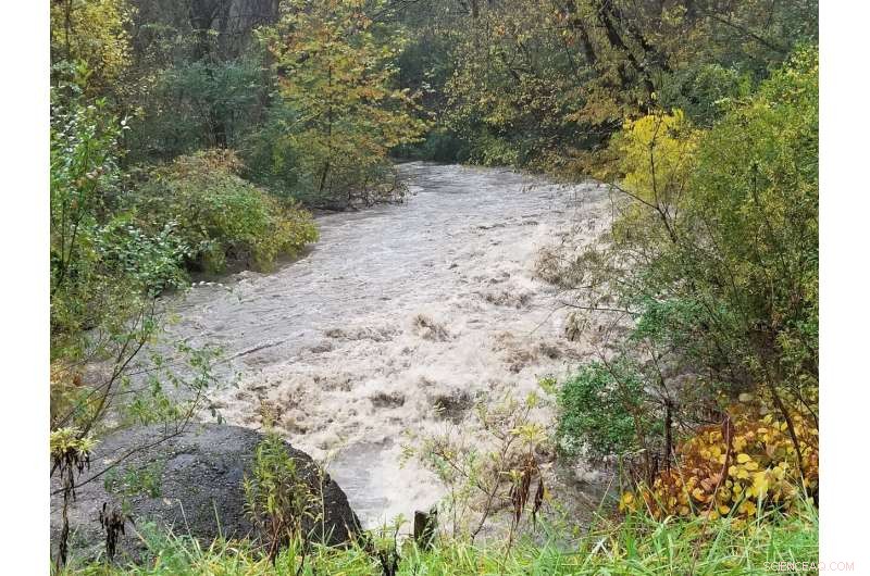 Pittsburgh University Researchers Advocate for Comprehensive Regional Green Infrastructure Database