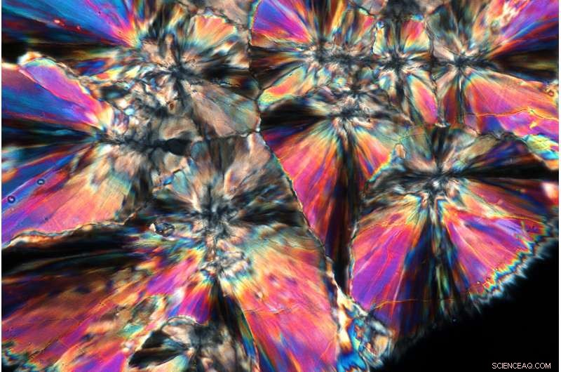 Great Barrier Reef Coral Reveals Key Correction Factor for Climate Records