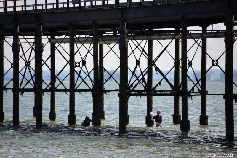 Uncovering the Origins of Microplastics in Europe s River Systems