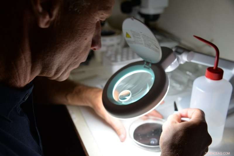 Uncovering the Origins of Microplastics in Europe s River Systems