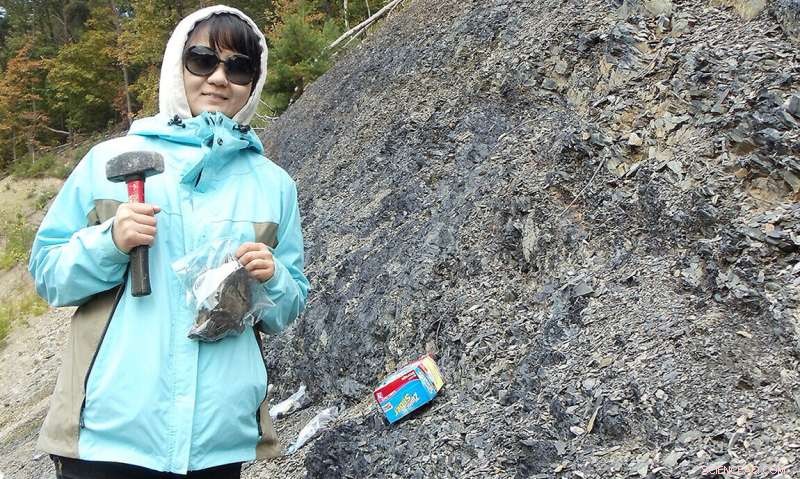 Ancient Forests Sparked Earth s First Mass Extinction, New Study Shows