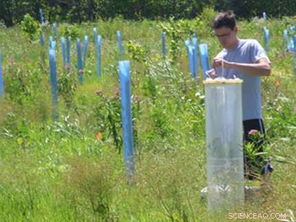 Wetlands Unveiled as Surprising Methane Emitters