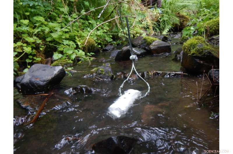 Scientists Propose Comprehensive River Management Plan to Combat Climate Change