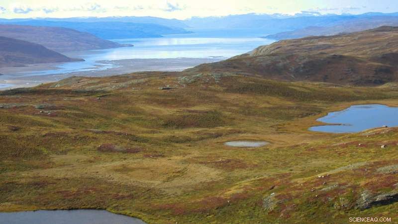 West Greenland Landscape Rapidly Adapts to Arctic Climate Shifts, New Study Reveals
