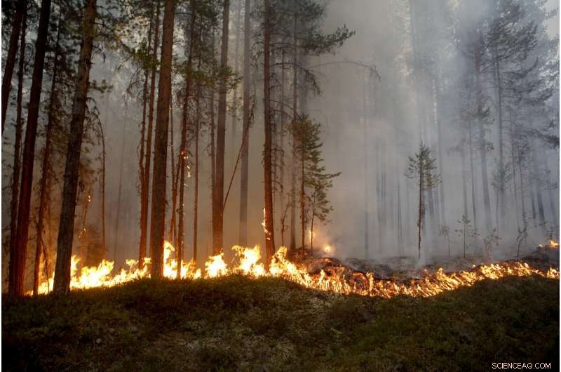 From Guilt to Choice: Why Flying Is No Longer the Preferred Option