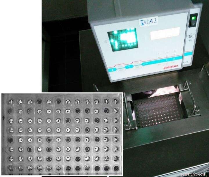 Annual Variability of Ice‑Nucleating Particles Revealed Across Arctic Sites