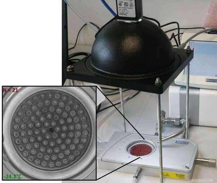 Annual Variability of Ice‑Nucleating Particles Revealed Across Arctic Sites