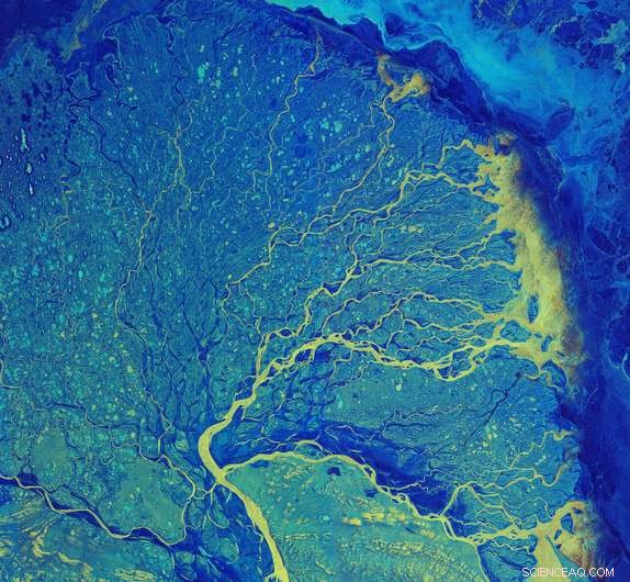 Copernicus Sentinel‑1 Captures the Arctic’s Largest Delta
