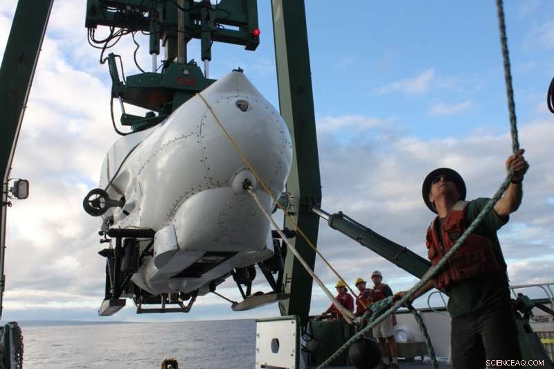 Deep Submersible Dives Illuminate Uncharted Coral Reefs, Uncovering Oceanic Mysteries