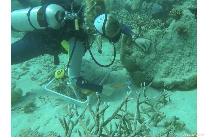 Safeguarding Australia s Great Barrier Reef: A Cultural Shift Toward Sustainable Conservation