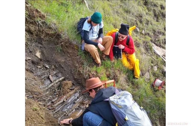 Does Limited Underground Water Storage Protect Plants from Drought?