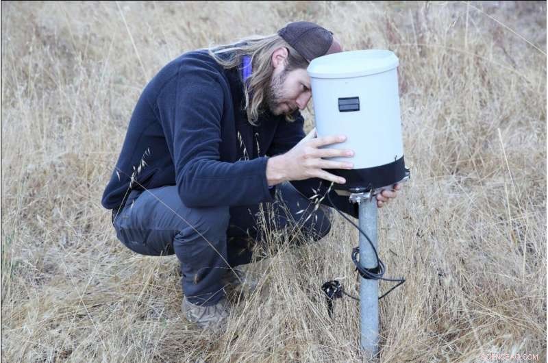 Does Limited Underground Water Storage Protect Plants from Drought?