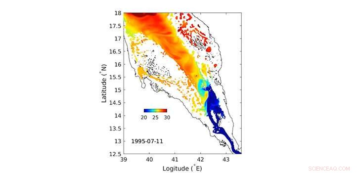 Modeling Red Sea Water Exchange Dynamics with Advanced Simulations