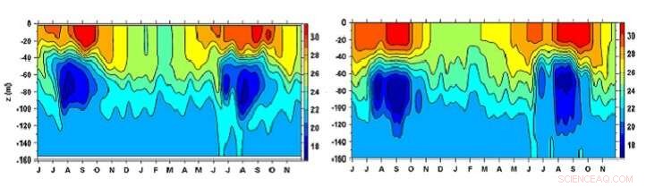 Modeling Red Sea Water Exchange Dynamics with Advanced Simulations