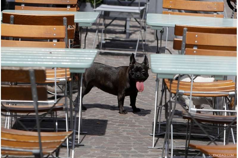 France Issues Heat Alerts as Europe Faces Intense Heat Wave