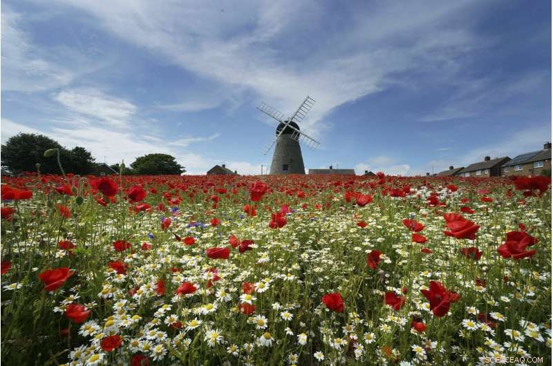 France Issues Heat Alerts as Europe Faces Intense Heat Wave