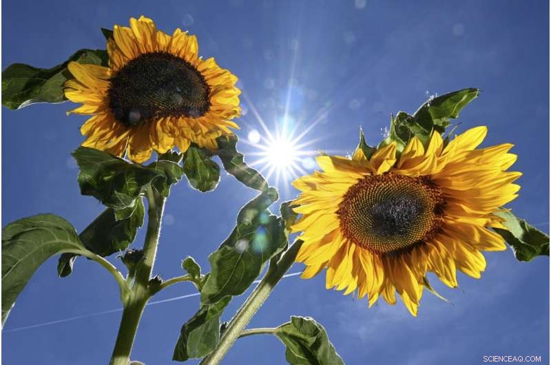 France Issues Heat Alerts as Europe Faces Intense Heat Wave