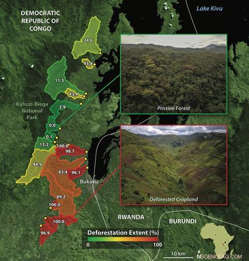 Hidden CO2 Source: How Tropical Soil Disturbance Fuels Climate Change