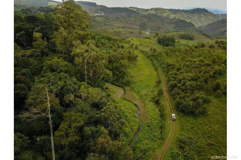 Hidden CO2 Source: How Tropical Soil Disturbance Fuels Climate Change